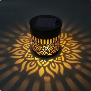 Fleur de lumière